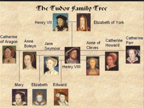 dinastia tudor serial online|list of tudor kings.